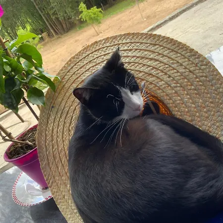 Parque de Campismo Clareira Quiaios