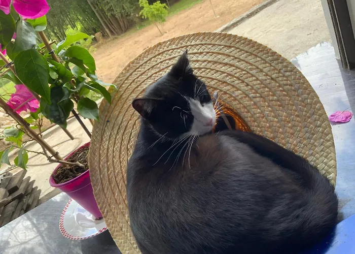 Campsite Clareira Quiaios